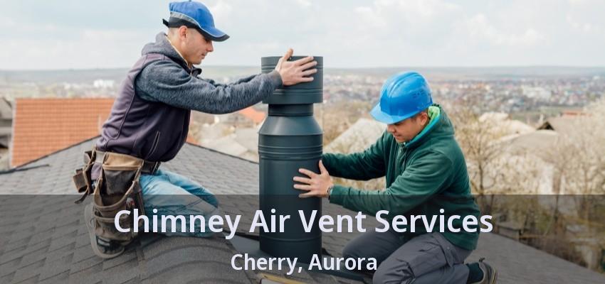 Chimney Air Vent Services Cherry, Aurora - ON