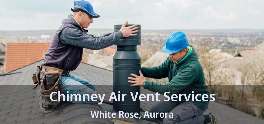 Chimney Air Vent Services White Rose, Aurora - ON