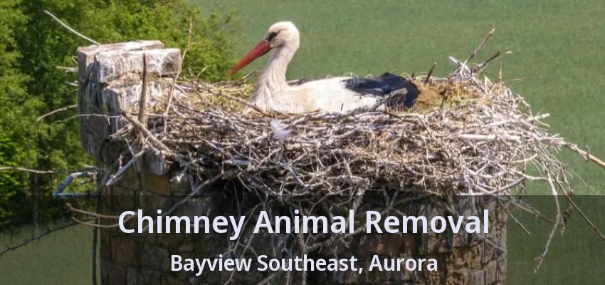 Chimney Animal Removal Bayview Southeast, Aurora - ON