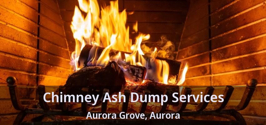 Chimney Ash Dump Services Aurora Grove, Aurora - ON
