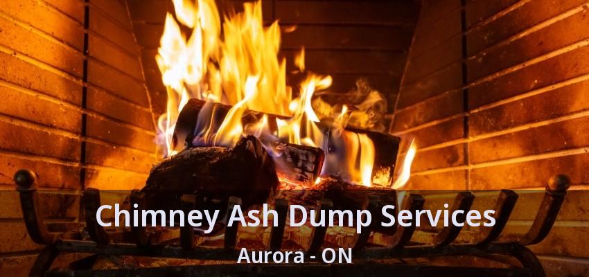 Chimney Ash Dump Services Aurora - ON