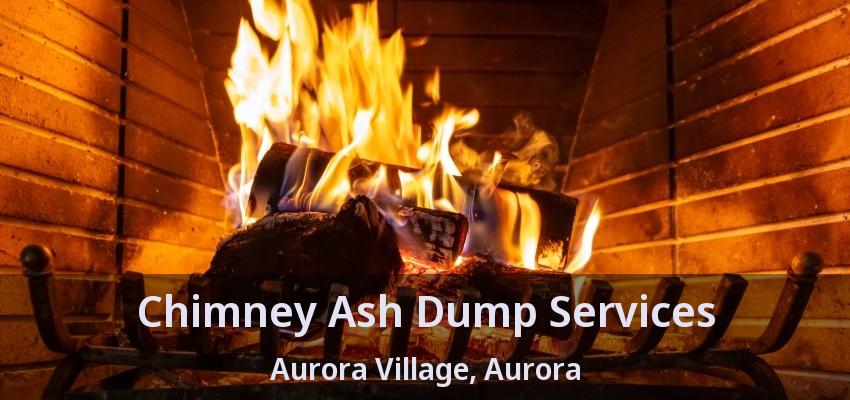 Chimney Ash Dump Services Aurora Village, Aurora - ON
