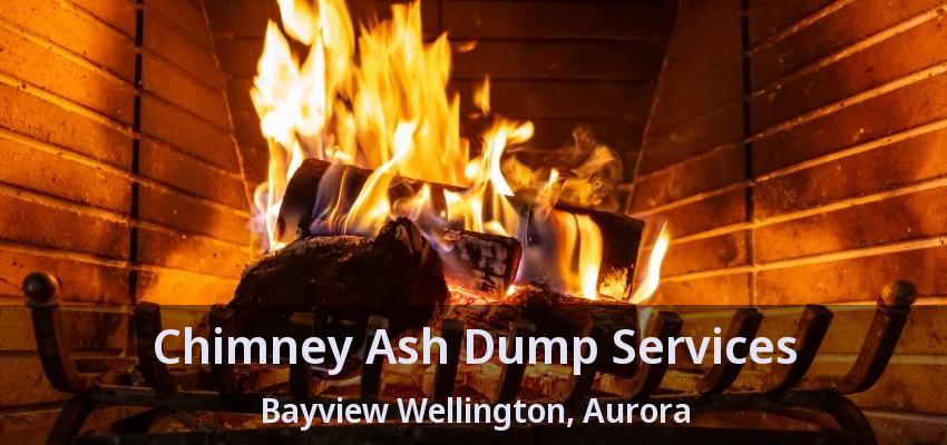 Chimney Ash Dump Services Bayview Wellington, Aurora - ON