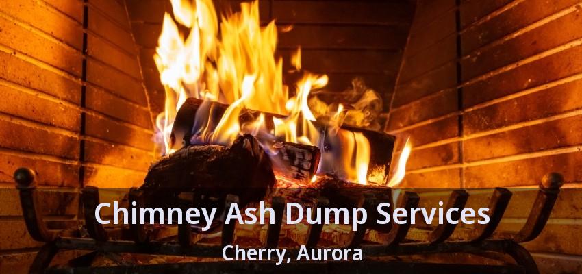 Chimney Ash Dump Services Cherry, Aurora - ON