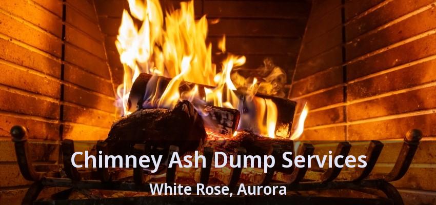 Chimney Ash Dump Services White Rose, Aurora - ON