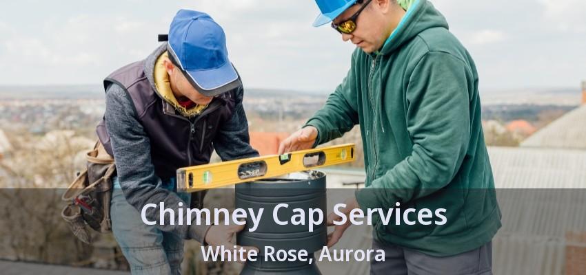 Chimney Cap Services White Rose, Aurora - ON