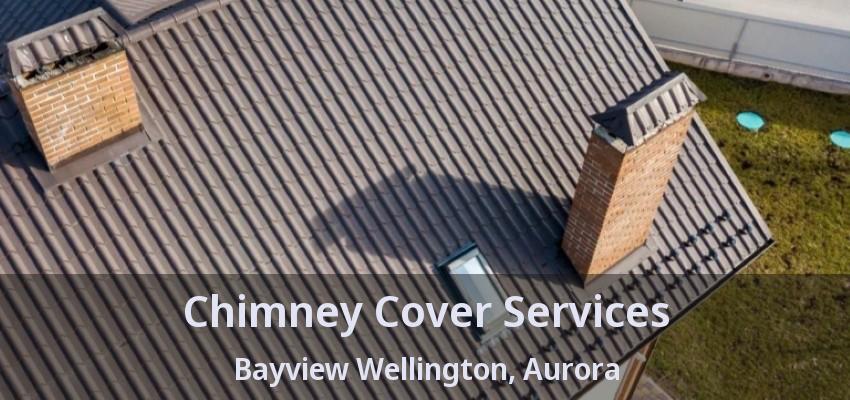 Chimney Cover Services Bayview Wellington, Aurora - ON