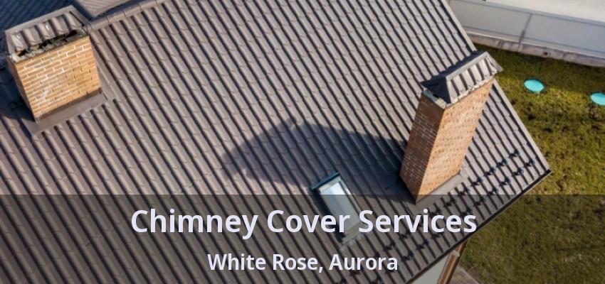 Chimney Cover Services White Rose, Aurora - ON