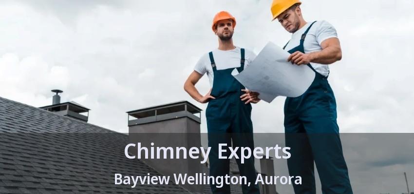 Chimney Experts Bayview Wellington, Aurora - ON