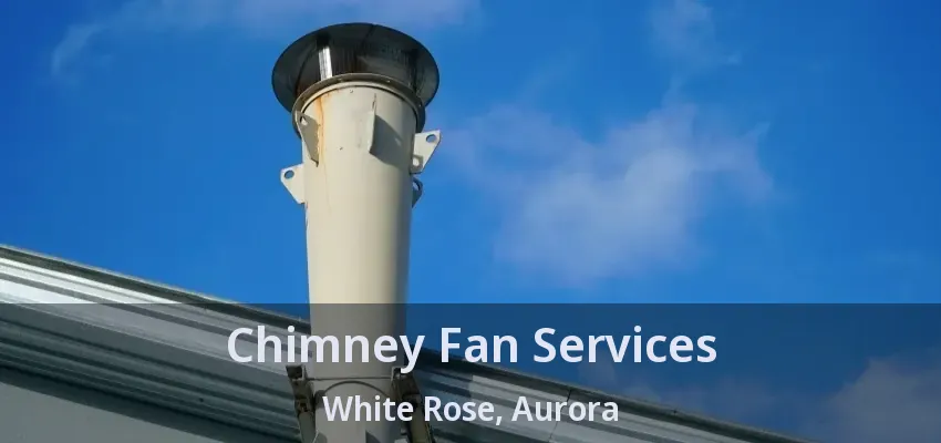 Chimney Fan Services White Rose, Aurora - ON