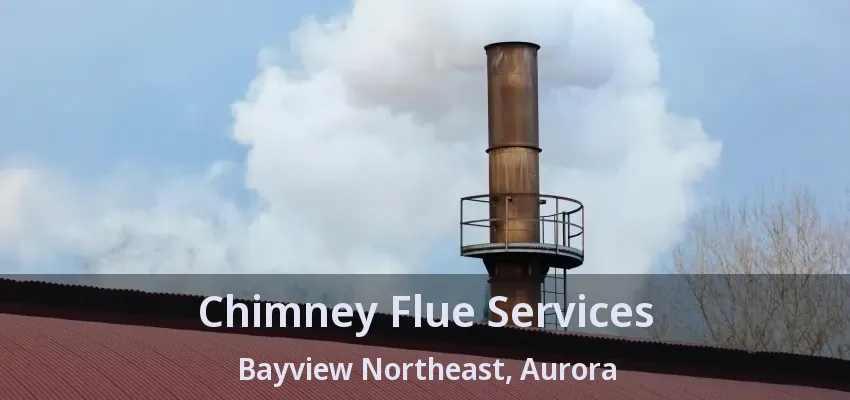 Chimney Flue Services Bayview Northeast, Aurora - ON
