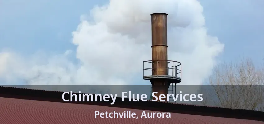 Chimney Flue Services Petchville, Aurora - ON