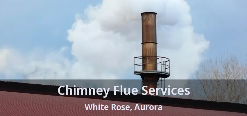 Chimney Flue Services White Rose, Aurora - ON