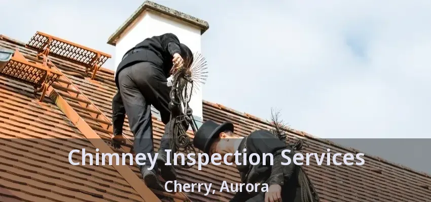 Chimney Inspection Services Cherry, Aurora - ON