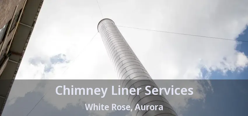 Chimney Liner Services White Rose, Aurora - ON