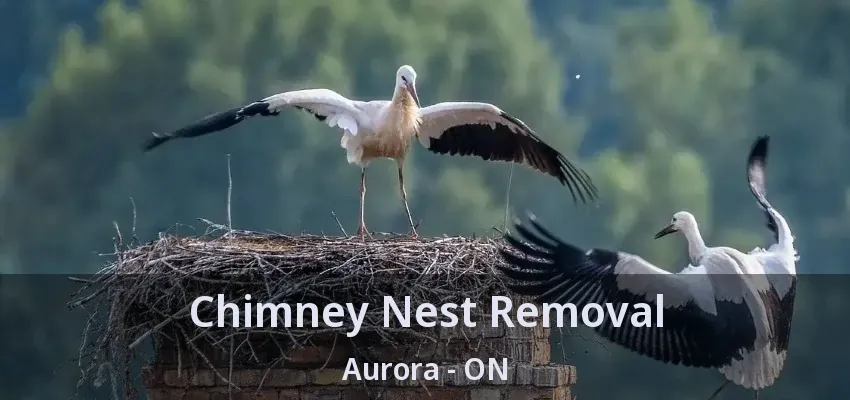 Chimney Nest Removal Aurora - ON