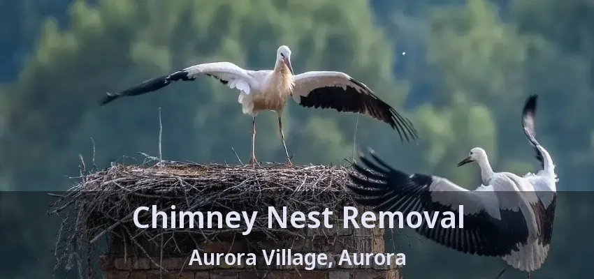 Chimney Nest Removal Aurora Village, Aurora - ON