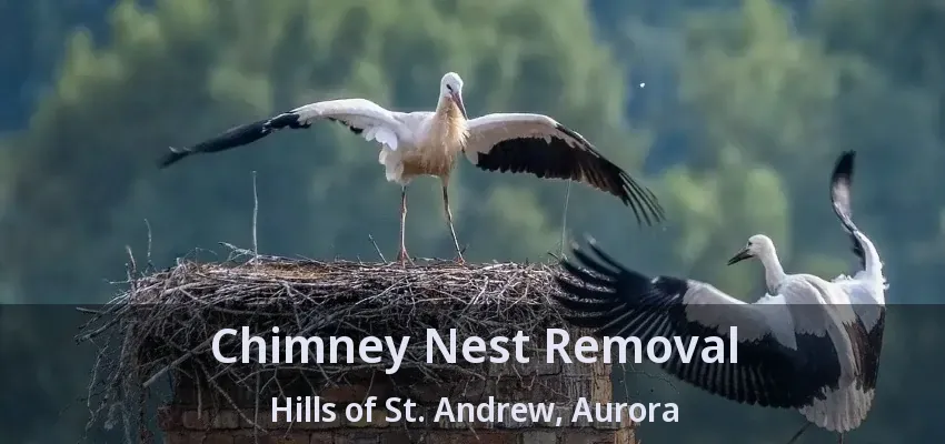 Chimney Nest Removal Hills of St. Andrew, Aurora - ON