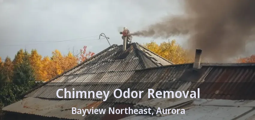 Chimney Odor Removal Bayview Northeast, Aurora - ON