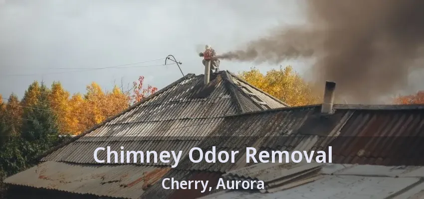 Chimney Odor Removal Cherry, Aurora - ON