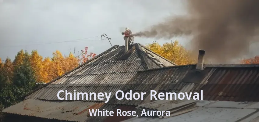 Chimney Odor Removal White Rose, Aurora - ON