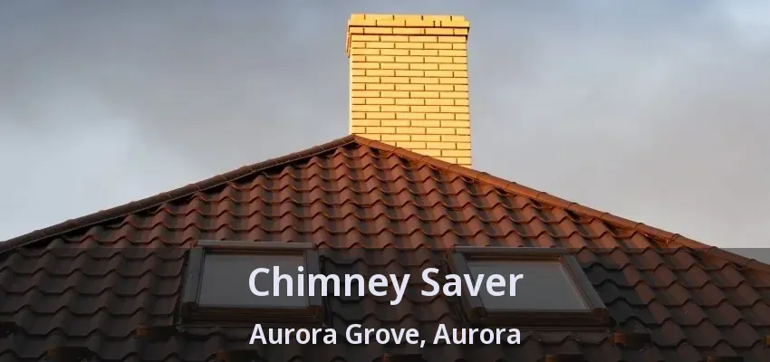 Chimney Saver Aurora Grove, Aurora - ON