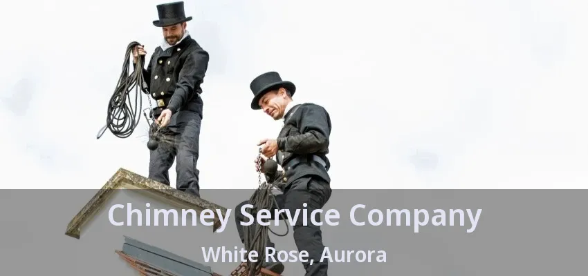 Chimney Service Company White Rose, Aurora - ON