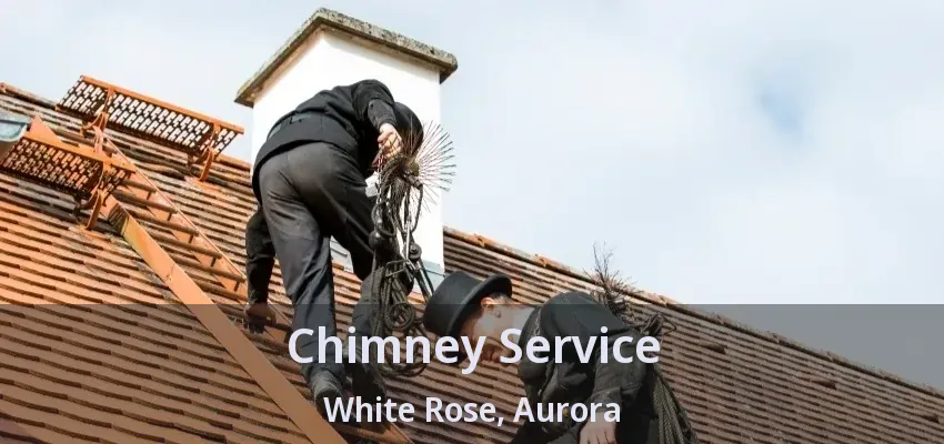 Chimney Service White Rose, Aurora - ON