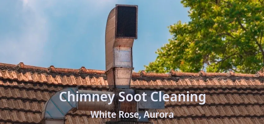 Chimney Soot Cleaning White Rose, Aurora - ON