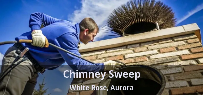 Chimney Sweep White Rose, Aurora - ON