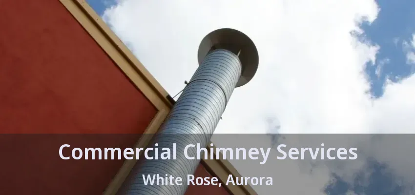 Commercial Chimney Services White Rose, Aurora - ON