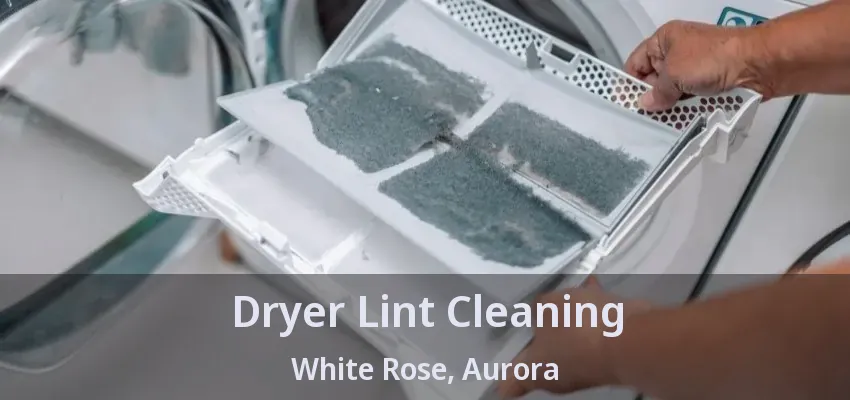 Dryer Lint Cleaning White Rose, Aurora - ON