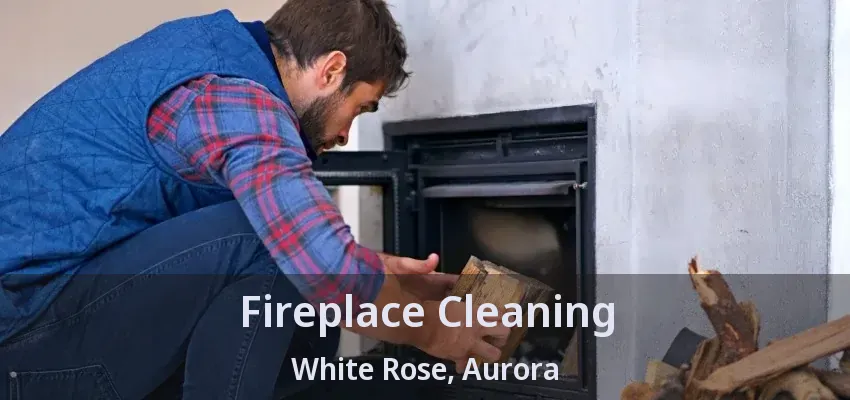 Fireplace Cleaning White Rose, Aurora - ON