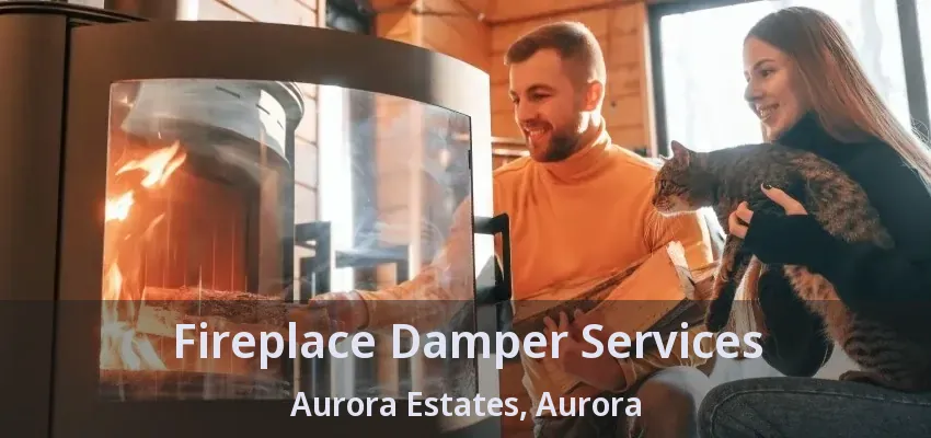 Fireplace Damper Services Aurora Estates, Aurora - ON