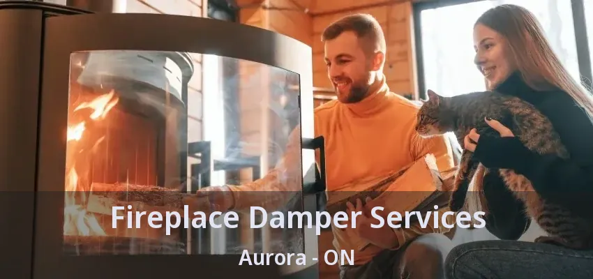 Fireplace Damper Services Aurora - ON