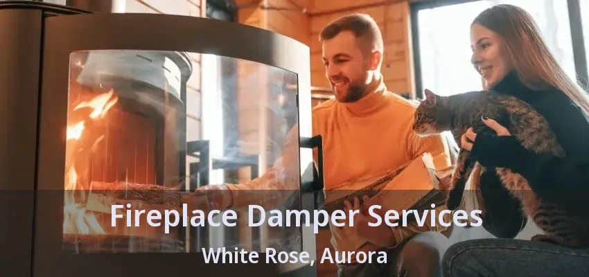 Fireplace Damper Services White Rose, Aurora - ON