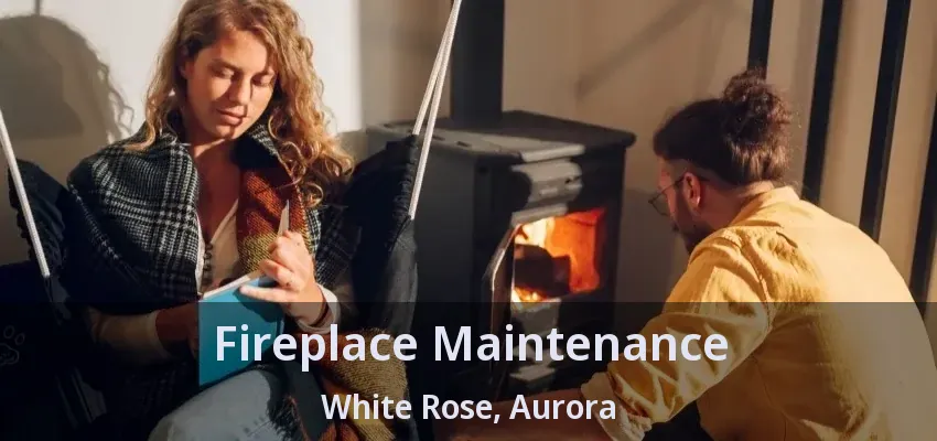 Fireplace Maintenance White Rose, Aurora - ON