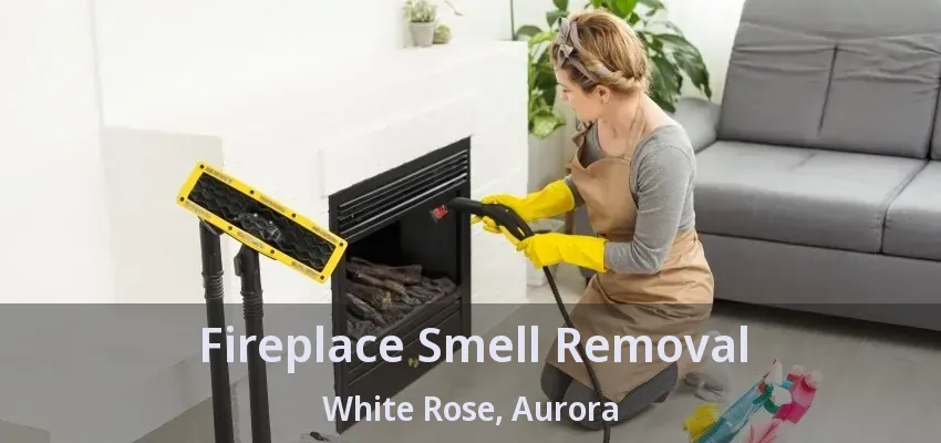 Fireplace Smell Removal White Rose, Aurora - ON