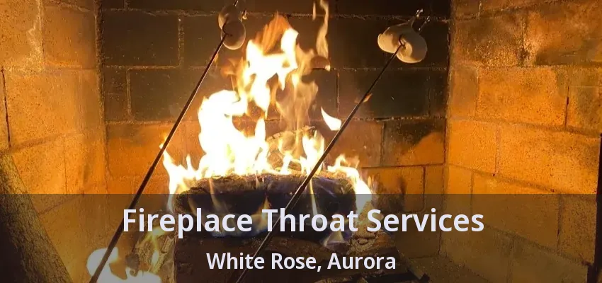 Fireplace Throat Services White Rose, Aurora - ON