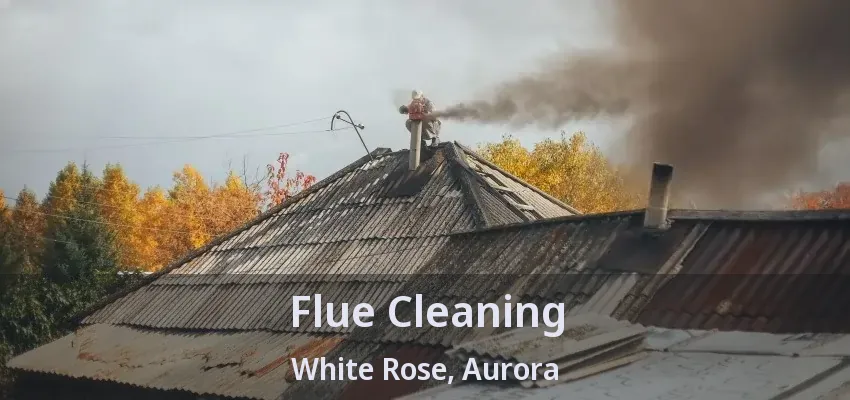 Flue Cleaning White Rose, Aurora - ON