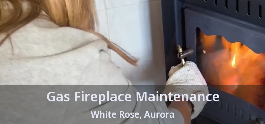 Gas Fireplace Maintenance White Rose, Aurora - ON