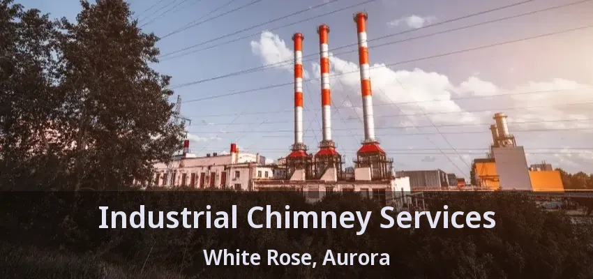 Industrial Chimney Services White Rose, Aurora - ON