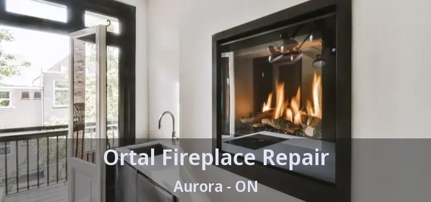 Ortal Fireplace Repair Aurora - ON