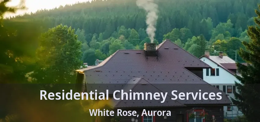 Residential Chimney Services White Rose, Aurora - ON