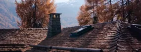 Chimney Animal Removal Aurora