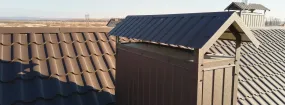 Chimney Cap Services White Rose, Aurora