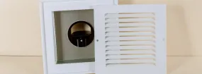 Vent Dust Cleaning White Rose, Aurora
